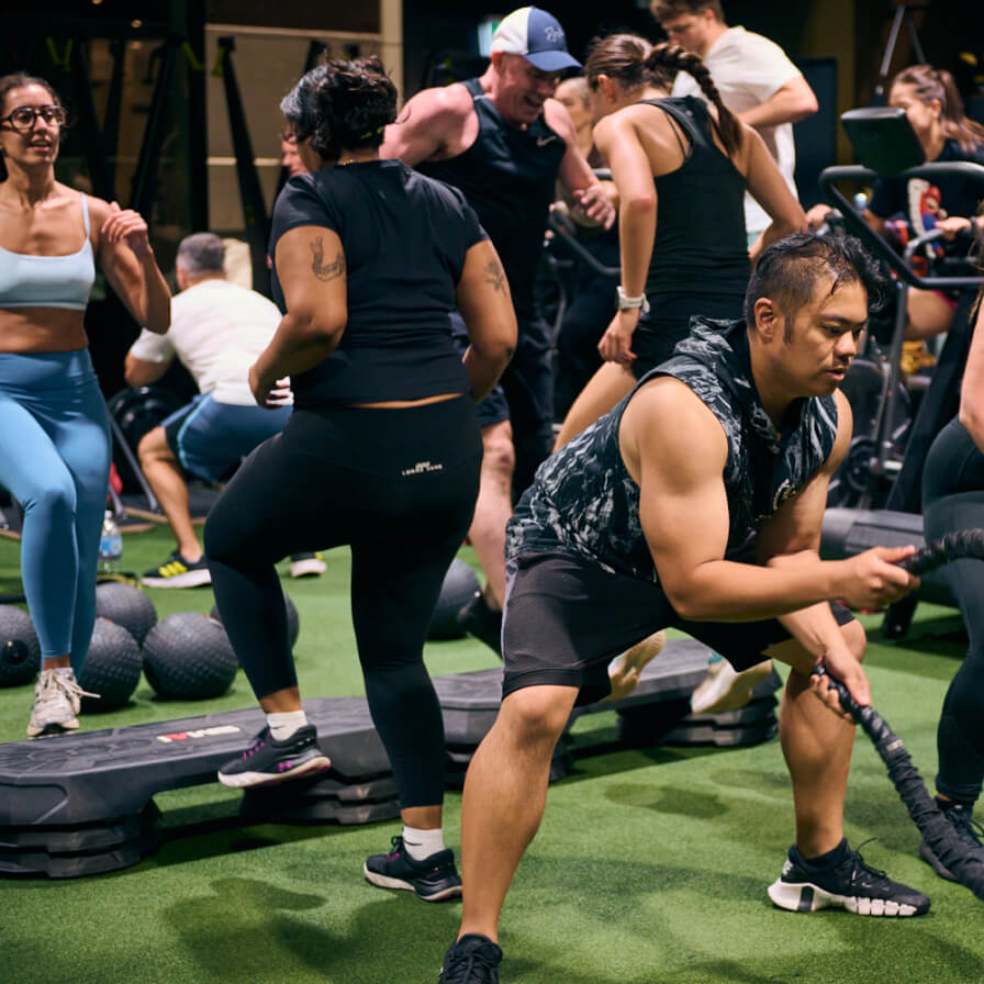 The-Jungle The Jungle