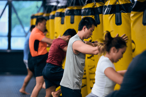 Olympia Muay Thai WEB 183-p-500